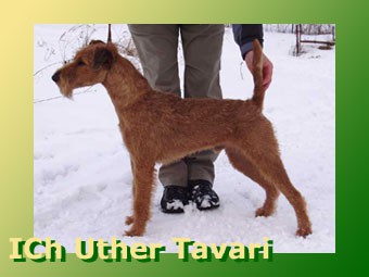 ICh. Uther Tavari