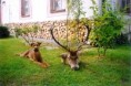 /album/fotogaleria-polovne-vyuzitie/v-obr6-jpg/
