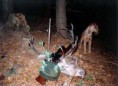 /album/fotogaleria-polovne-vyuzitie/v-obr7-jpg/