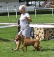 /album/fotogaleria-mvp-bratislava-2016-sobota/p8205452-fotor-jpg/